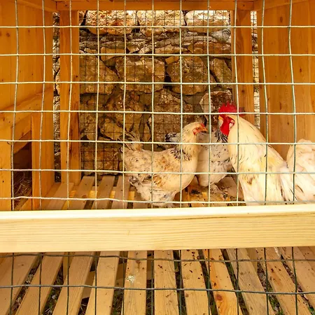 Case de vacanță Dolunay *