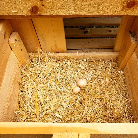 Case de vacanță Dolunay Islamlar (Mediterranean)