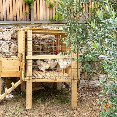 Dolunay Case de vacanță