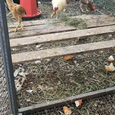 Dolunay Nyaraló