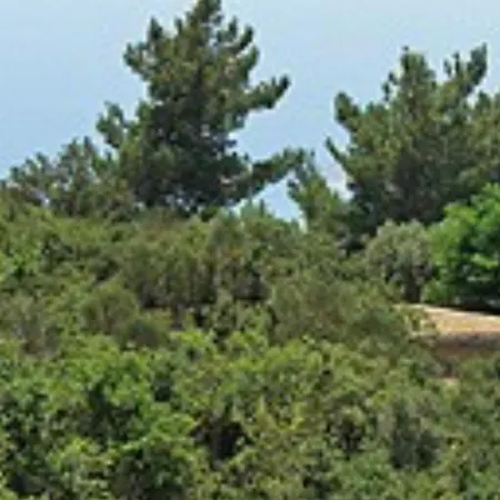 Semesterbostad Dolunay Islamlar (Mediterranean)